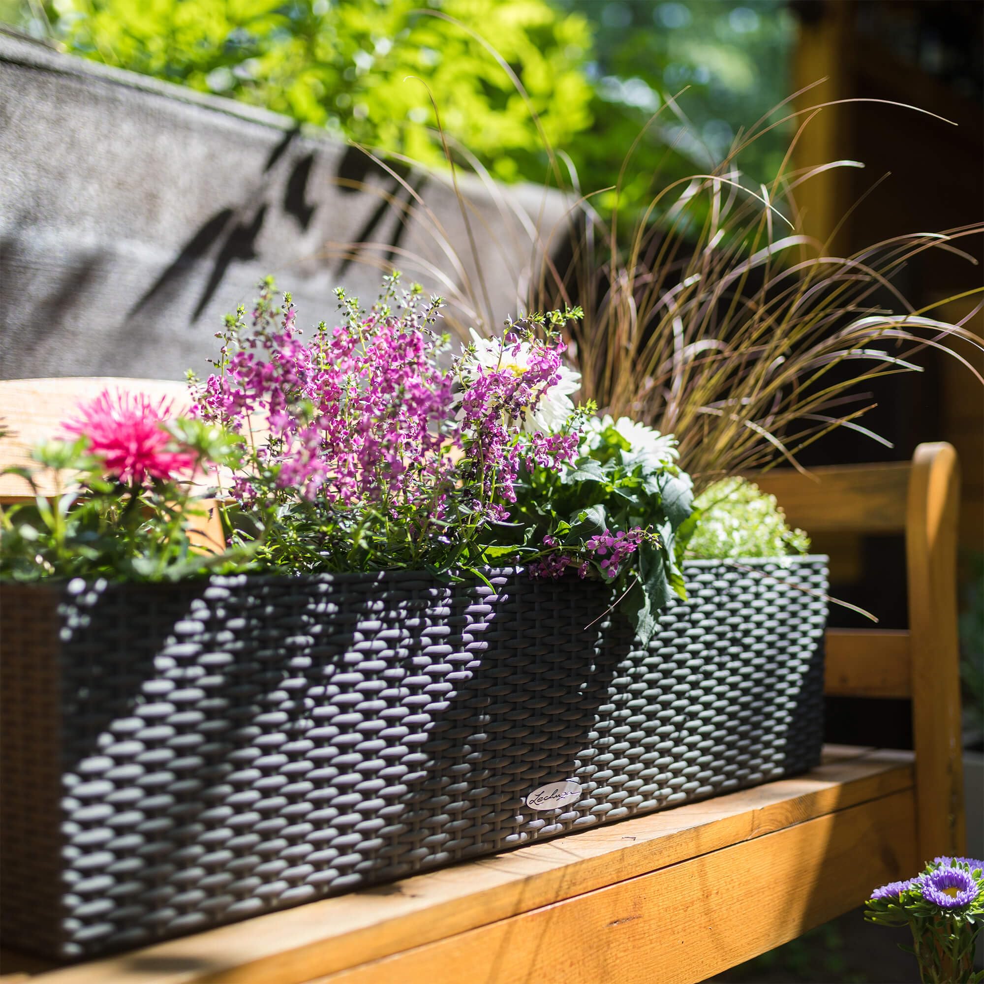 Dark gray woven plastic plant pot balconera filled with vibrant purple pink and white flowers with drainage hole