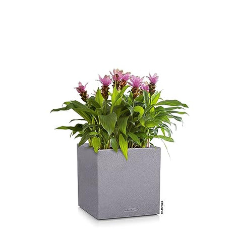 Gray textured canto stone plant pot with vibrant pink tropical plant insert for indoor and outdoor use