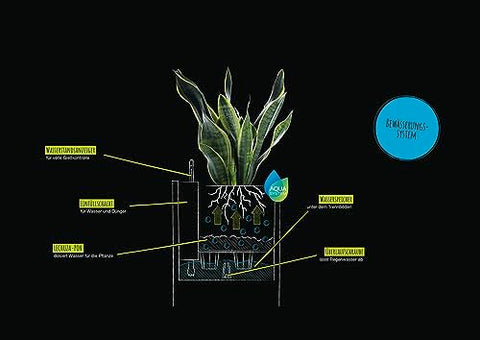 Aeroponic plant growth system with green plant in lechuza canto stone 30 grey plastic self watering plant pot