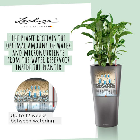 Gray lechuza watering plant pot with green plant inside tall white high gloss plastic plant pot delta for indoor outdoor use