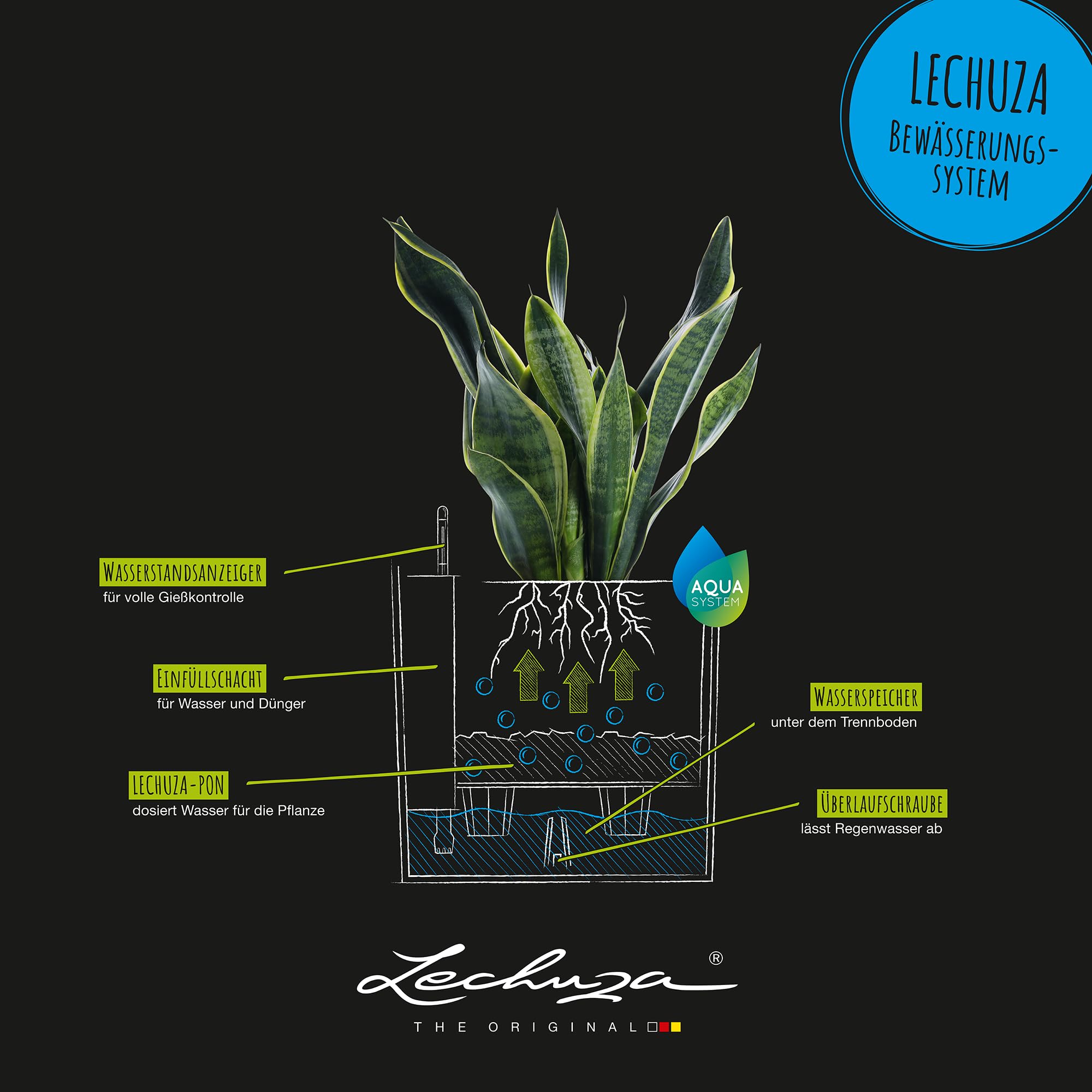 A green snake plant in a granite lechuza self watering plant pots cube cottage 30 rattan look planter with water control