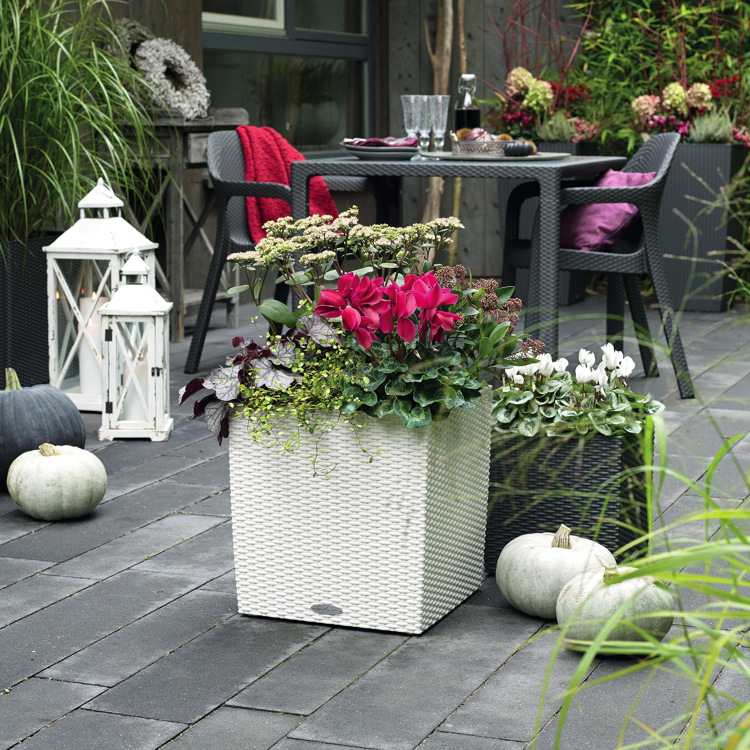 White woven rattan look lechuza watering plant pots cube cottage filled with pink and white flowers granite color