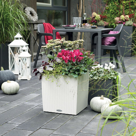 White woven rattan look lechuza watering plant pots cube cottage filled with pink and white flowers granite color