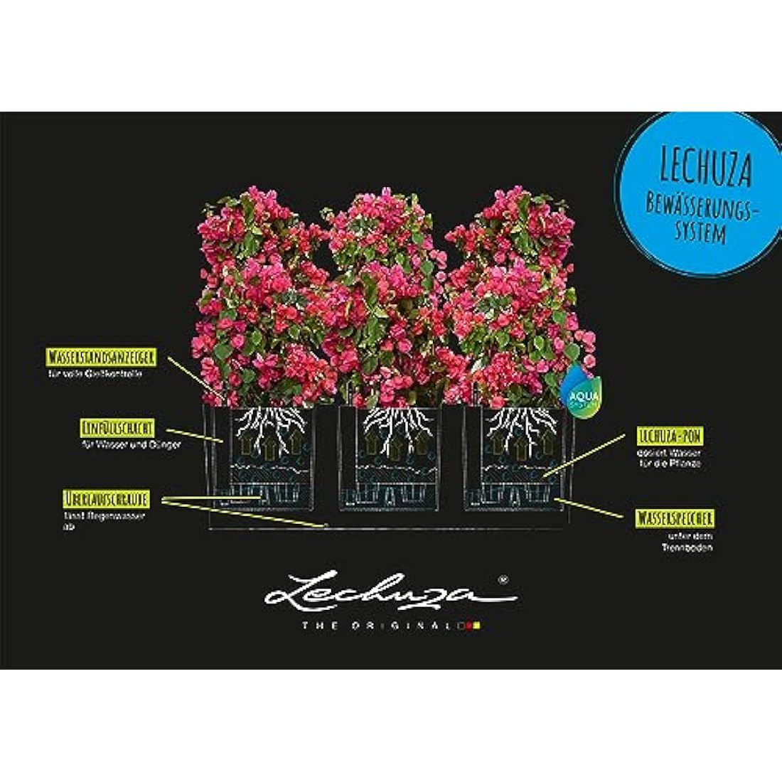 Lechuza trio cottage 30 self watering planter with transparent glass pots shows water level indicator and pink flowers