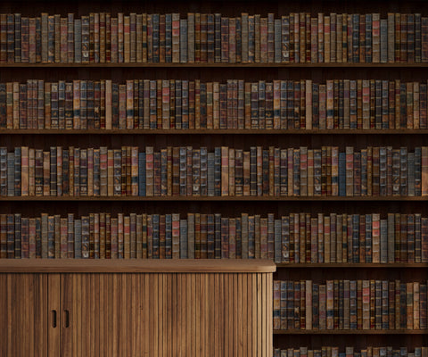 Rows of aged leather-bound books in earthy tones on wooden shelves for libre product display