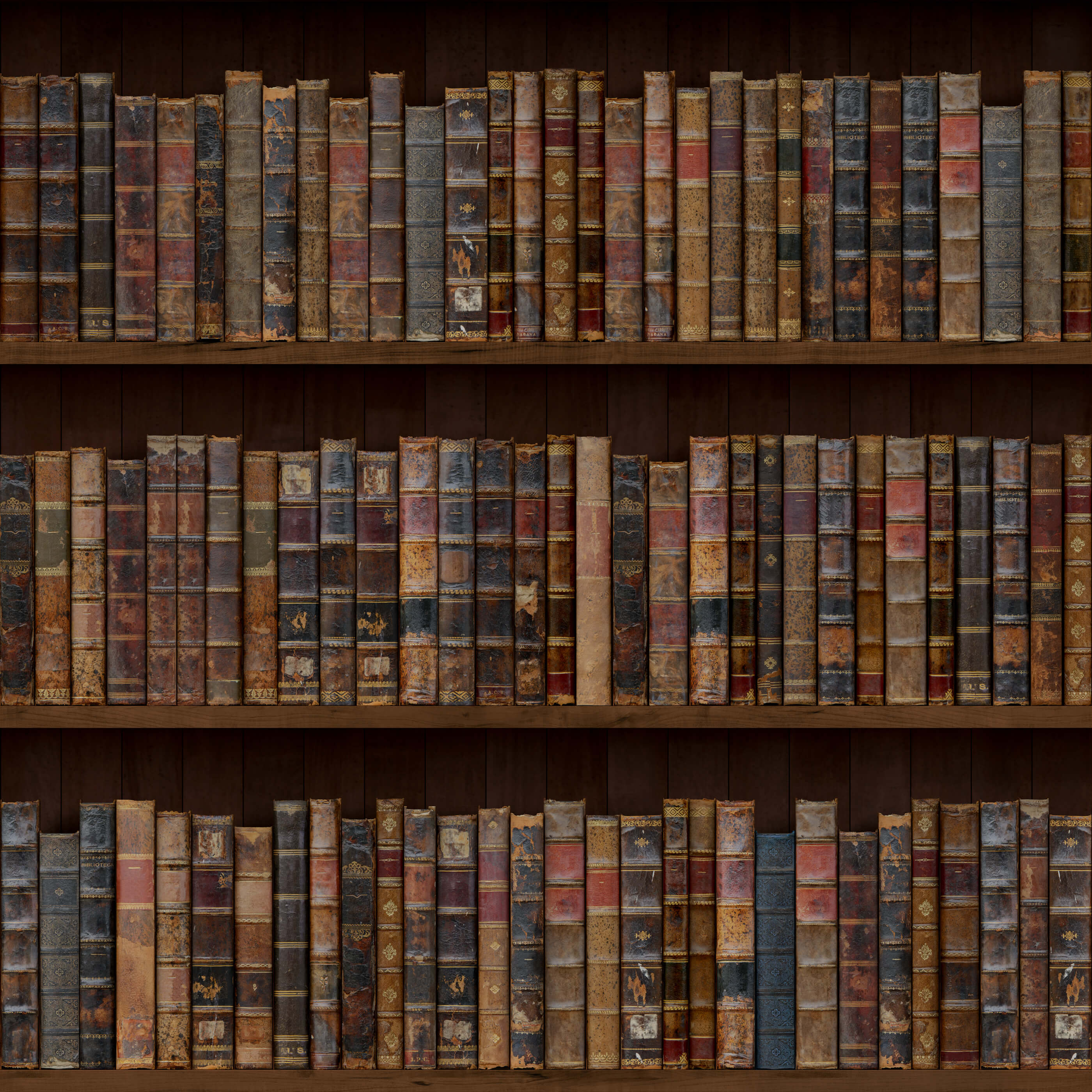 Rows of vintage leather-bound books with worn spines and faded gold embossing on dark wooden shelves in libre