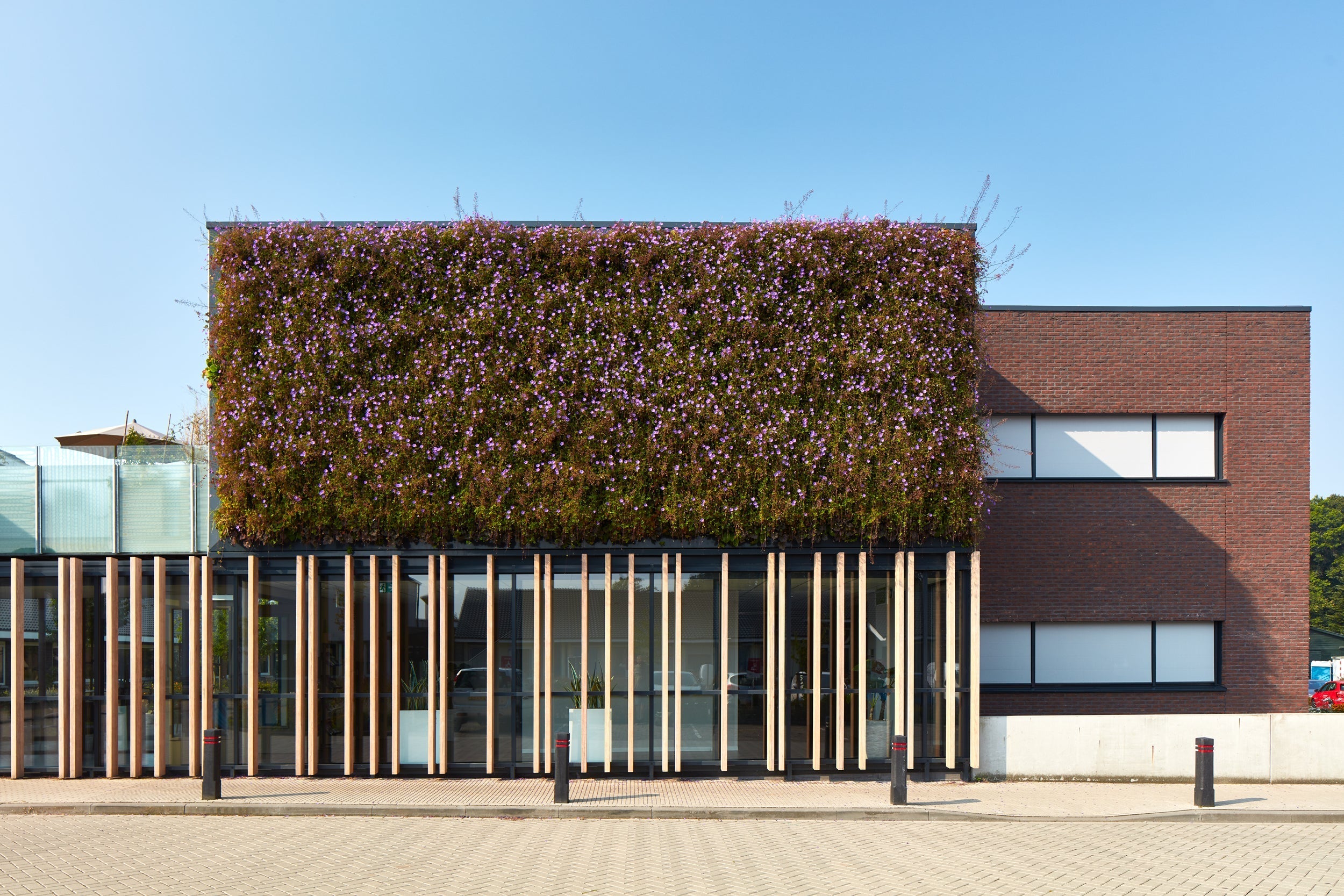 A lush green living wall with purple flowering vines using interchangeable plant cassettes on a modern building facade