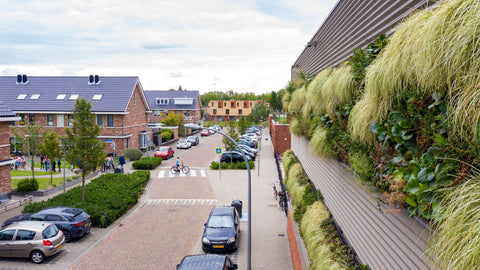 Lush green living wall with tall grasses and leafy plants using interchangeable plant cassettes on a modern building