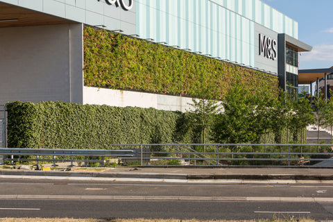 The m&s store sign in bold black lettering on light gray background featured on livepanel outdoor living wall with plant cassettes