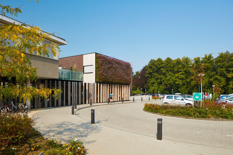 Modern building with vertical wooden slats and a reddish-brown ivy living wall using interchangeable plant cassettes