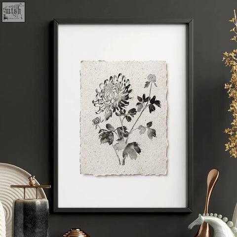 Black-framed living room prints featuring delicate ink wash botanical chrysanthemum on textured beige paper