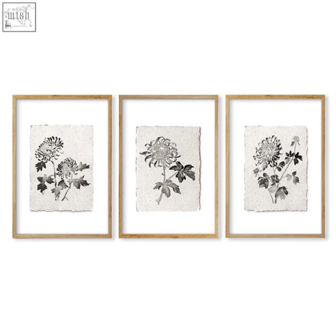 Set of three living room prints featuring botanical chrysanthemum illustrations in beige and black with light wood frames