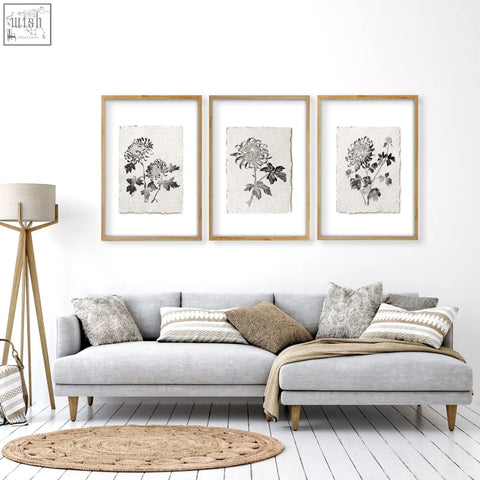 Three framed living room prints featuring black botanical chrysanthemum ink on off-white paper in light wood frames