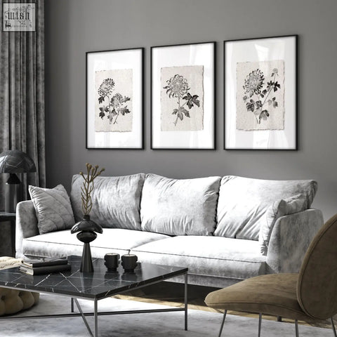 Gray velvet sofa with plush cushions next to living room prints featuring botanical chrysanthemum in beige and black