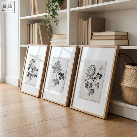 Three living room prints featuring black botanical chrysanthemum ink illustrations on beige textured paper in wood frames