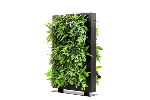 Living wall divider 180.5cm black with black frame featuring lush green ferns and leafy plants in a modern minimalist design