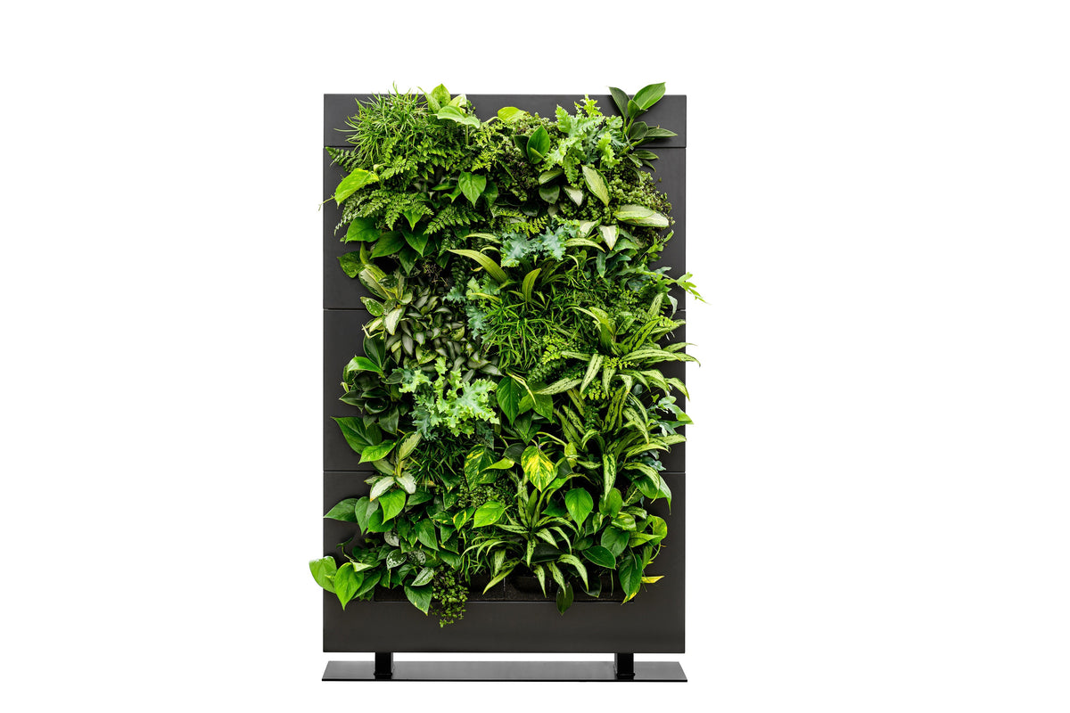 Living wall divider 180.5cm black with lush vertical green wall featuring dense vibrant emerald and forest green plants