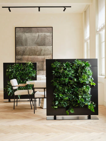 Black living wall divider panel 180.5cm with lush green foliage for vertical garden and indoor decoration