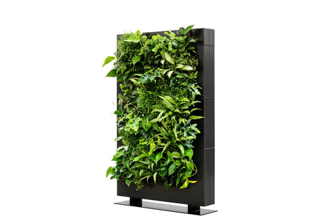 Black living wall divider 180.5cm with a vertical planter full of lush green foliage for indoor or outdoor use