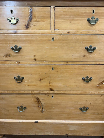 Mid victorian rustic pine chest of drawers with rounded corners and dark bronze crown handles for farmhouse storage