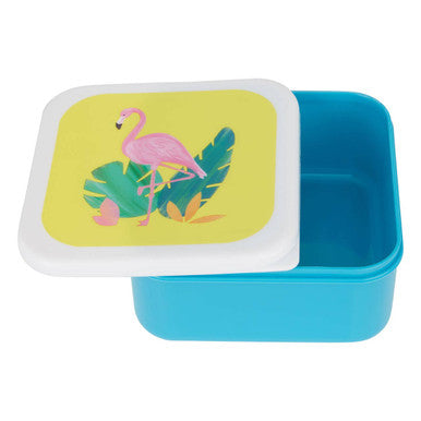 Blue plastic rectangular flamingo lunch box with white lid featuring pink flamingo and tropical leaves mimo set