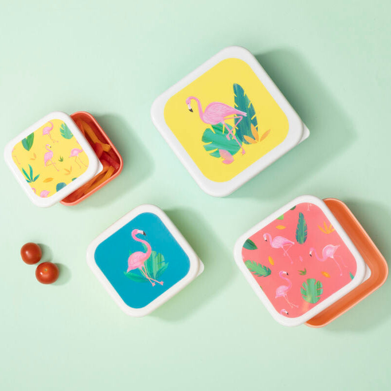 Square plastic flamingo lunch boxes in mimo set with colorful tropical flamingo lids and white borders