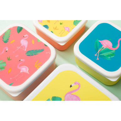 Mimo set of 4 flamingo lunch boxes with square shape and vibrant tropical flamingo designs on colorful backgrounds