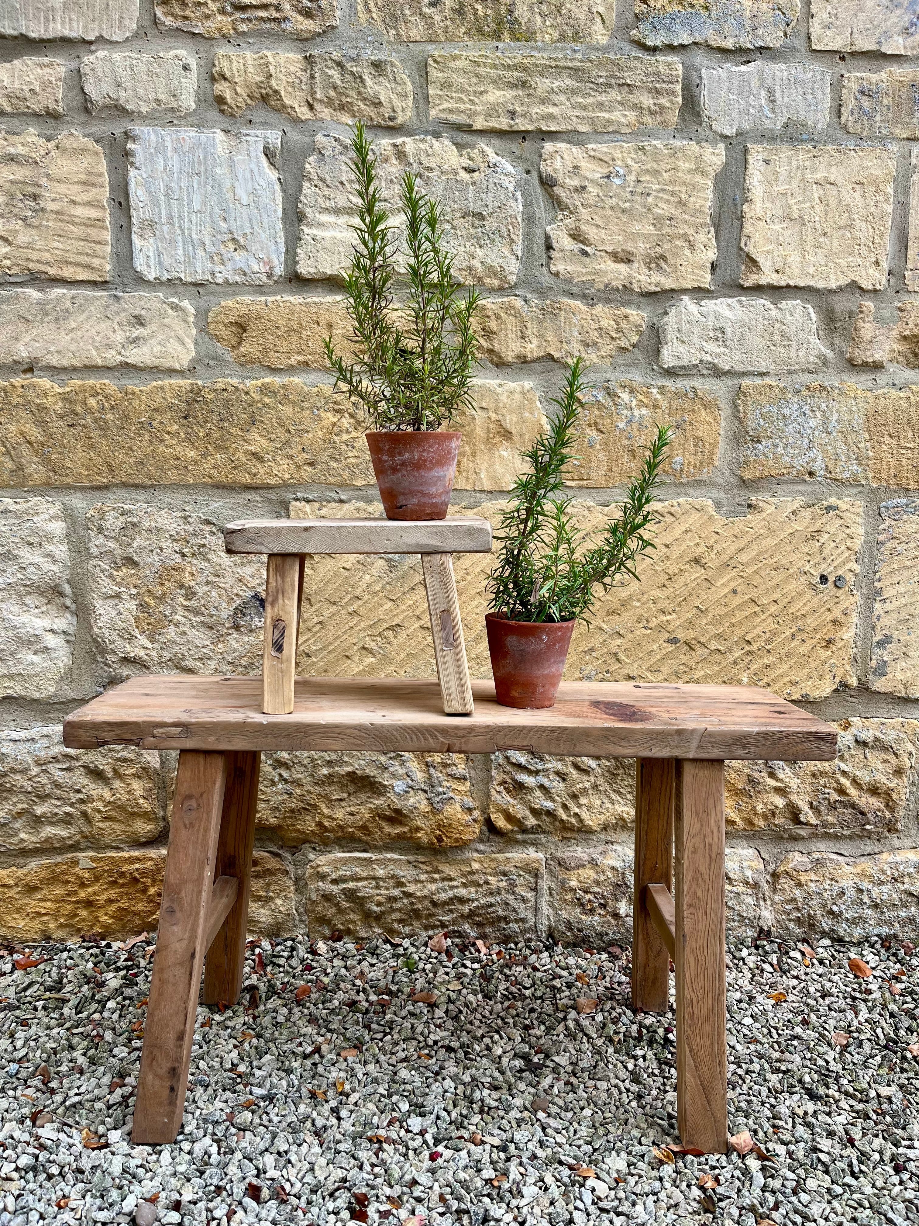 Rustic wooden mini elm two-tiered stool with weathered finish holding terracotta rosemary pots