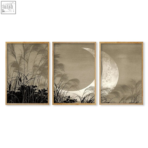 Three-panel sepia toned modern asian wall art featuring a crescent moon rising behind silhouetted reeds on canvas