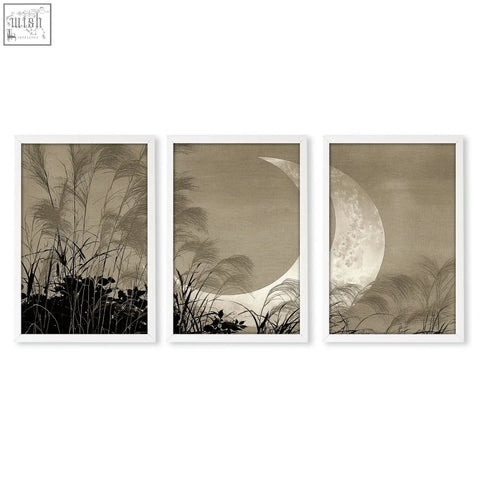 Set of three modern asian wall art prints featuring crescent moon and pampas grass in sepia tones with white frames