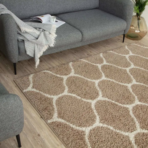 Moroccan Beige Shaggy Rug | 620 - Rugs