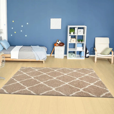 Moroccan Beige Shaggy Rug | 720 - Rugs