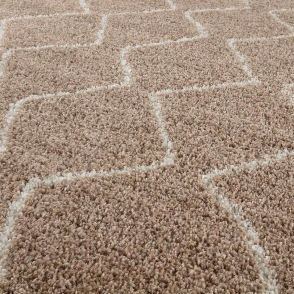 Moroccan Beige Shaggy Rug | 820 - Rugs