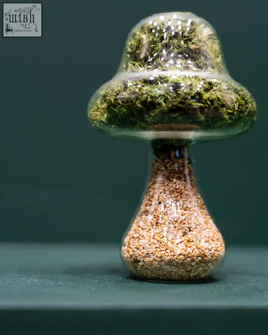 A clear glass moss mushroom terrarium with preserved moss and natural stone pebbles in a tall mushroom shape