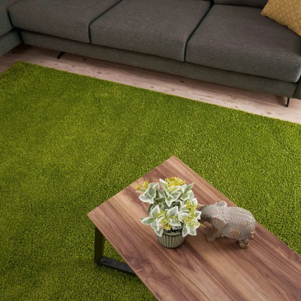 Myshaggy Solid Green Rug - Rugs