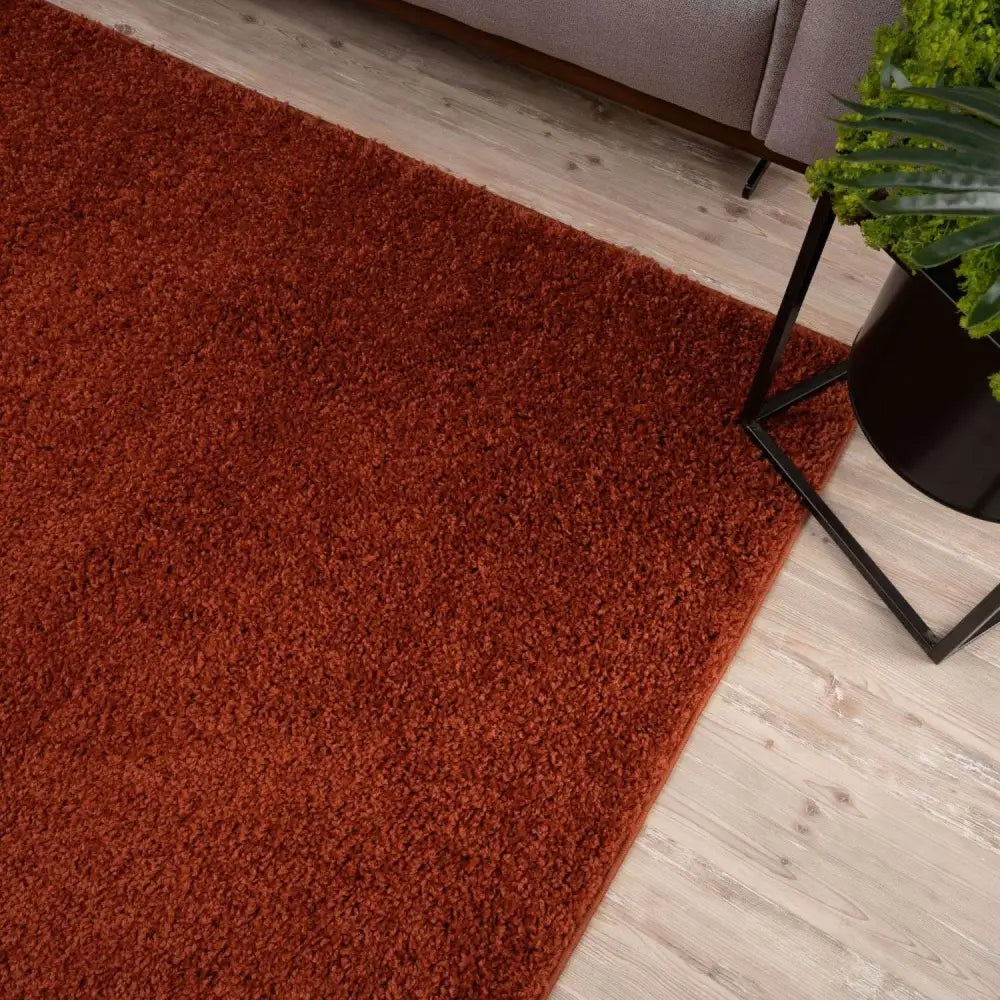 Myshaggy Solid Terra Rug - Rugs
