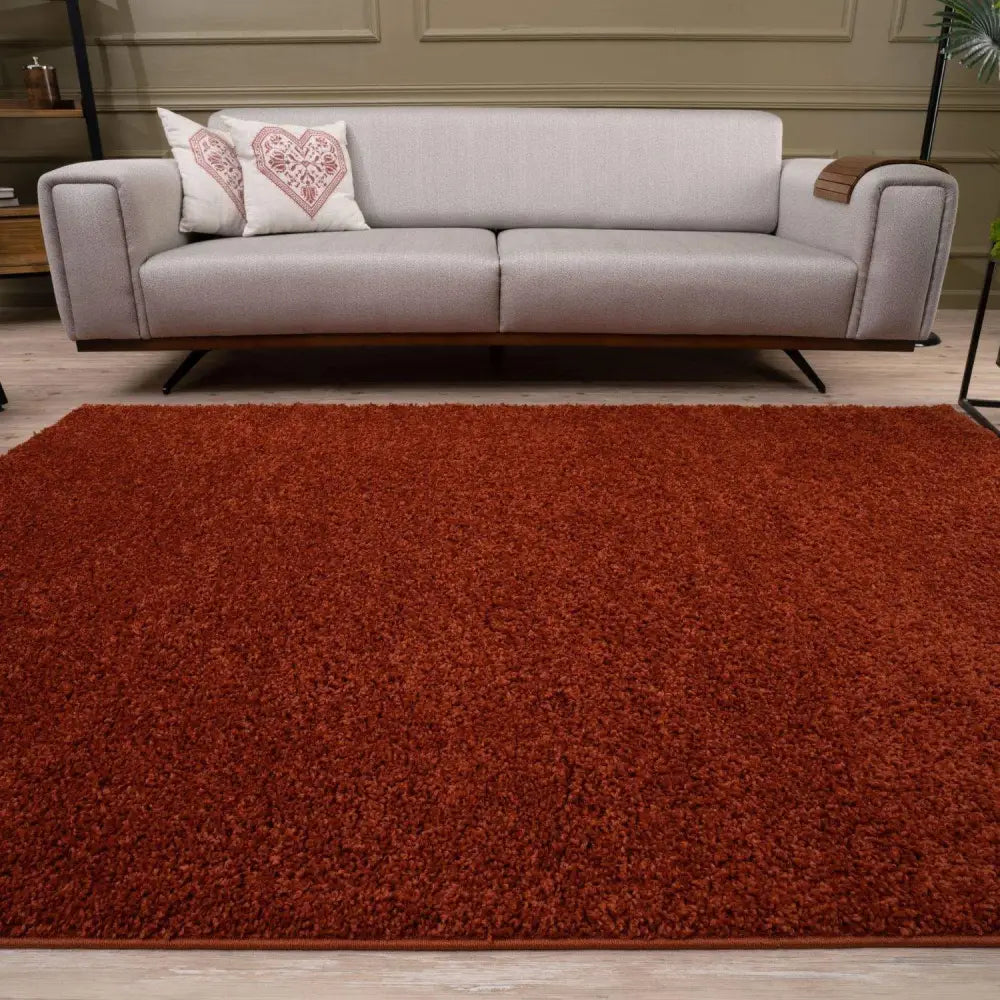 Myshaggy Solid Terra Rug - Rugs