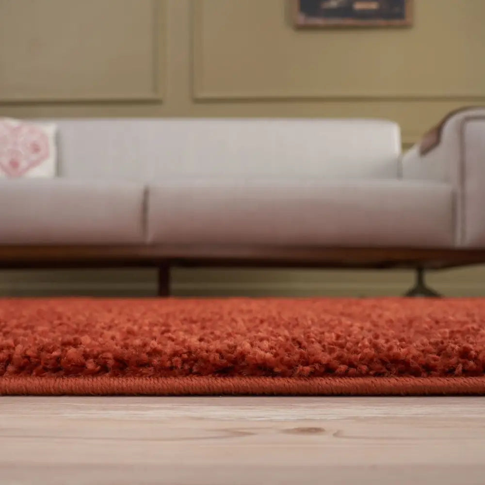 Myshaggy Solid Terra Rug - Rugs