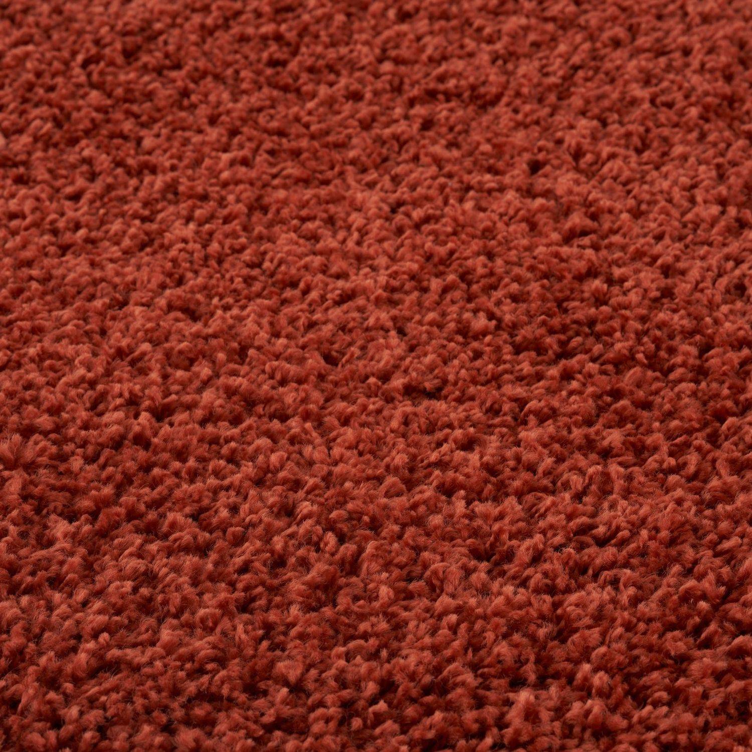 Rich terracotta plush carpet with dense textured pile in myshaggy solid terra solid terra rug design