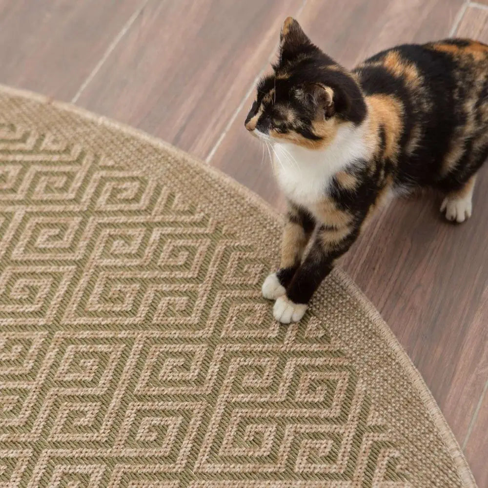 Nature Outdoor Rug Green | 5100G - Rugs