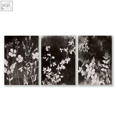 Set of 3 dark brown-black nature painting art prints featuring delicate wildflower and leaf botanical designs