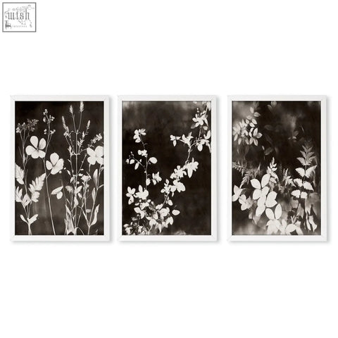 Set of three framed nature painting art prints with delicate black and white floral silhouettes on dark brown-black backgrounds