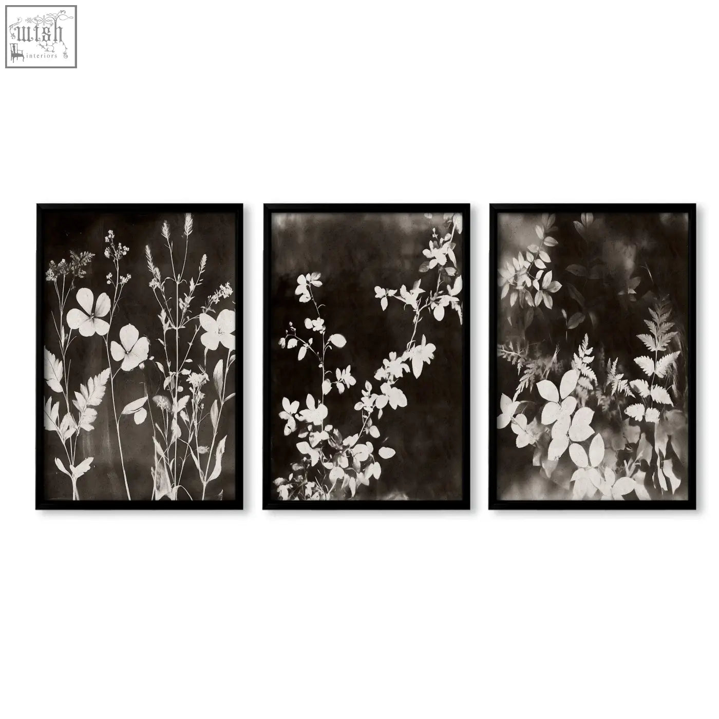 Set of three black-framed dark brown-black art prints nature painting of white wildflowers and leaves on dark background