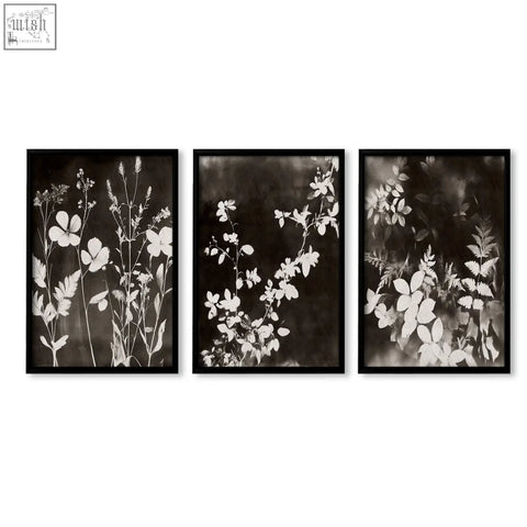 Set of three black-framed dark brown-black art prints nature painting of white wildflowers and leaves on dark background