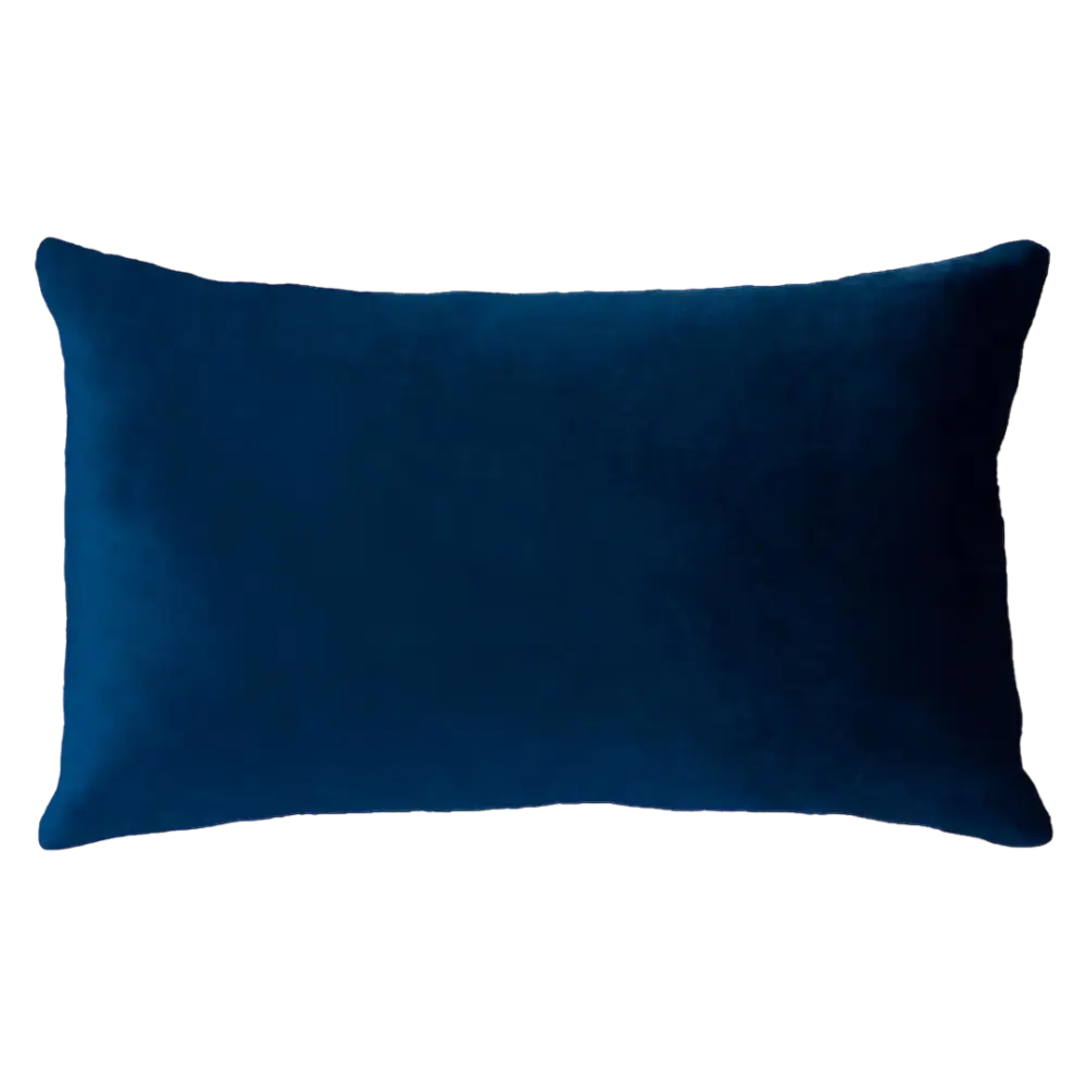 Netflix & Chill Needlepoint Cushion - Cushion