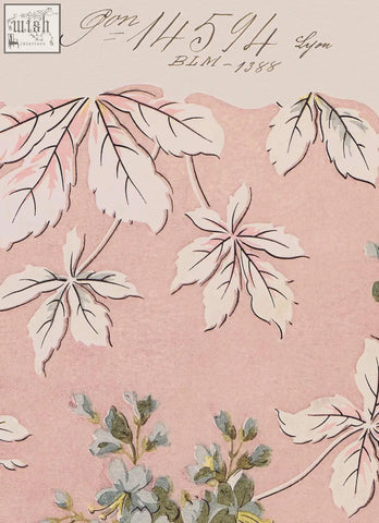 Pink wallpaper with delicate white and pale green leafy vines from no.049 spring romance vintage archive poster prints made with ethically sourced materials
