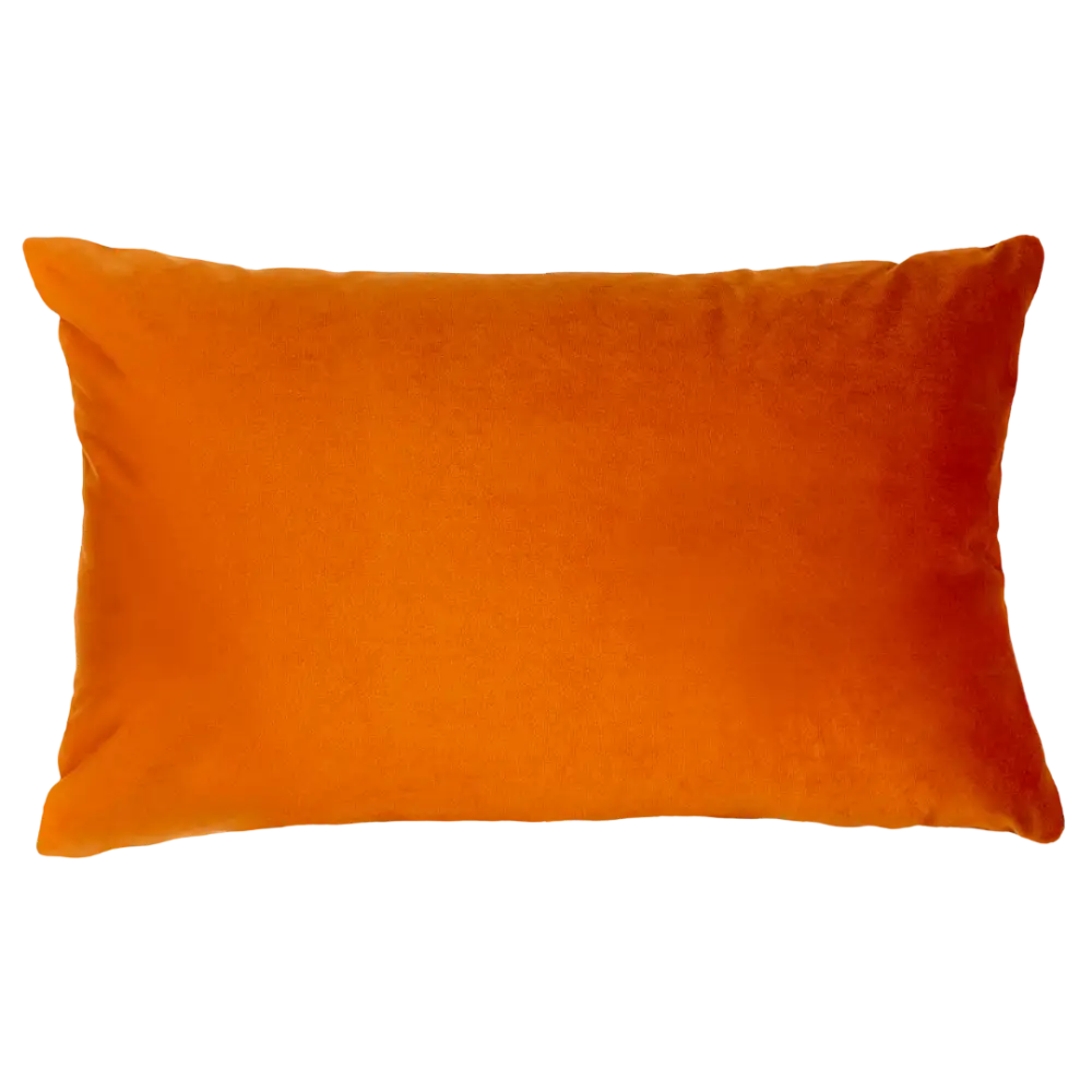 Nobody Puts Baby In The Corner Needlepoint Cushion - Cushion