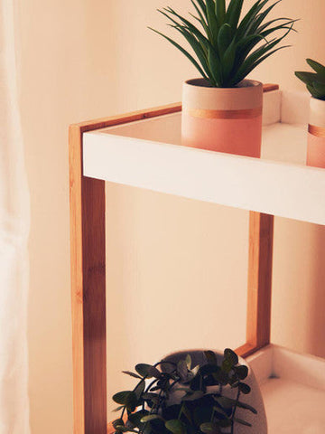 A peach ceramic pot with a gold band and green spiky plant on the nostra five tiered white and natural shelf unit