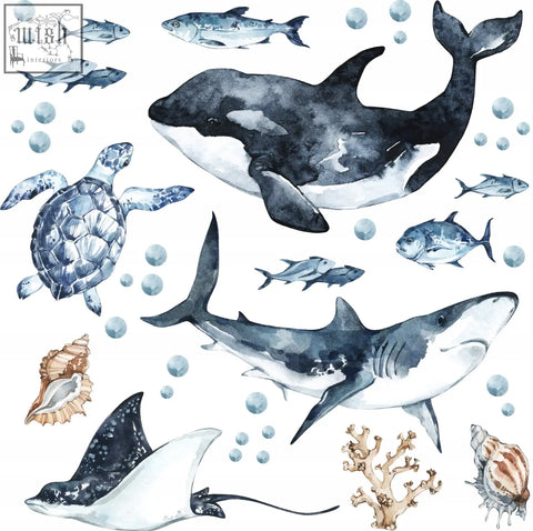 Watercolor illustration of an orca whale decal with black and white markings from ocean predators set including great white shark