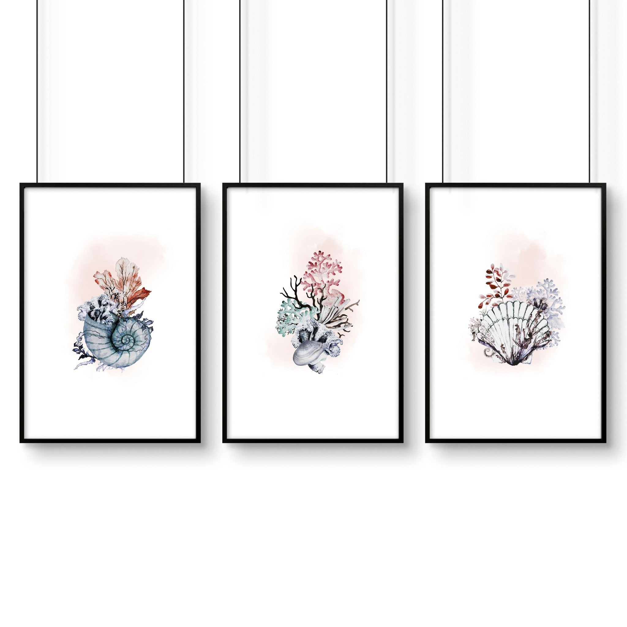 Home office print | set of 3 Seashells wall art prints